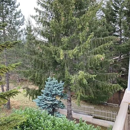 Apartment Immerso Nel Campo di Giove