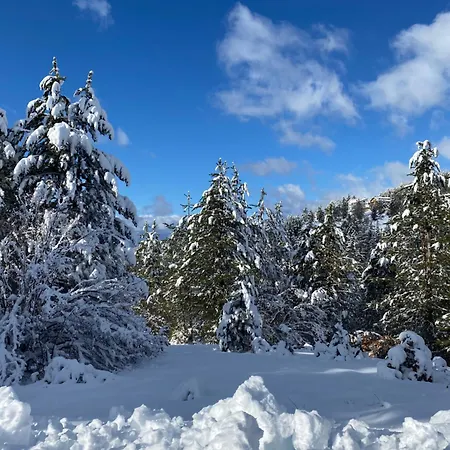 Immerso Nel Apartment