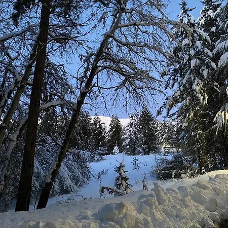 Immerso Nel Campo di Giove
