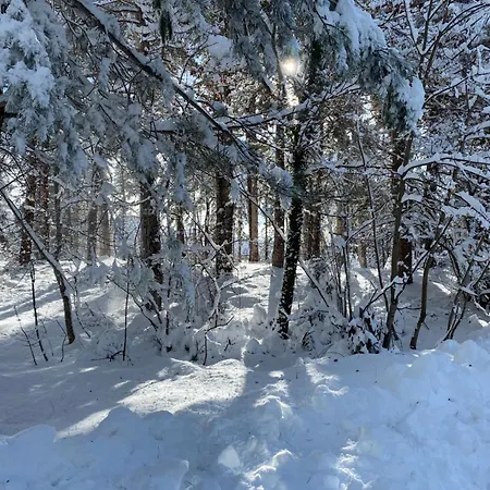 Immerso Nel * Campo di Giove