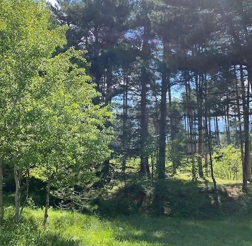 Immerso Nel * Campo di Giove