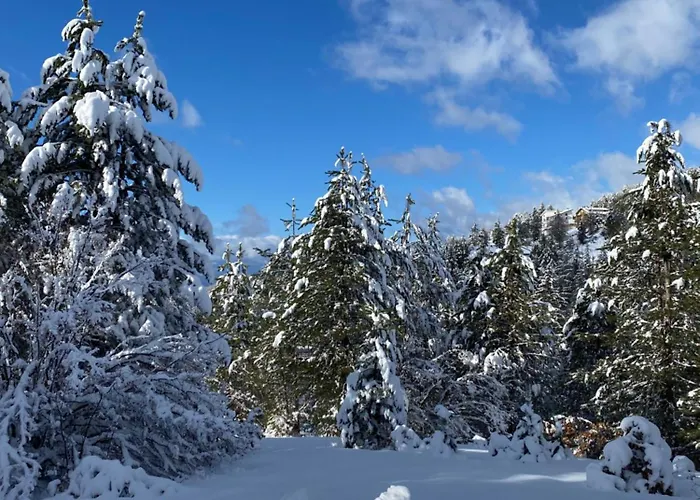 Immerso Nel Διαμέρισμα