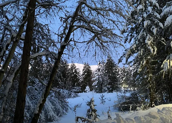 Immerso Nel Campo di Giove