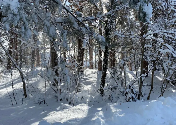 Immerso Nel * Campo di Giove